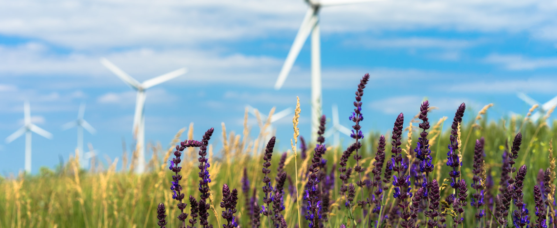 Unlimited wind resources｜COOLBIT COMPANY LTD.